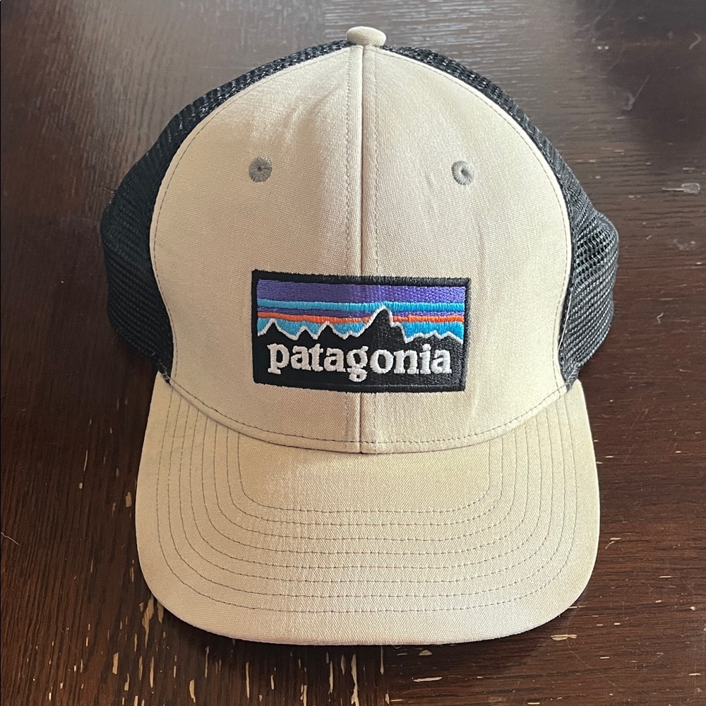 Patagonia mesh hat
